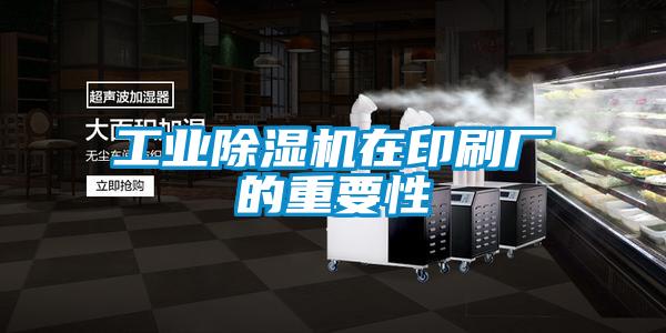 工业精品一区二区三区水蜜桃在印刷厂的重要性