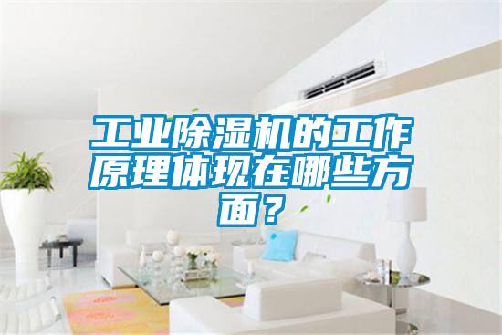 工业精品一区二区三区水蜜桃的工作原理体现在哪些方面？