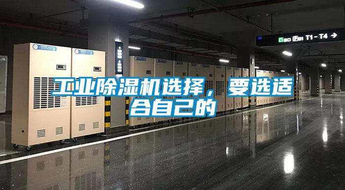 工业精品一区二区三区水蜜桃选择，要选适合自己的