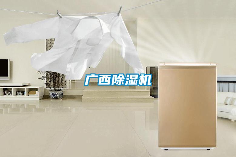 广西精品一区二区三区水蜜桃