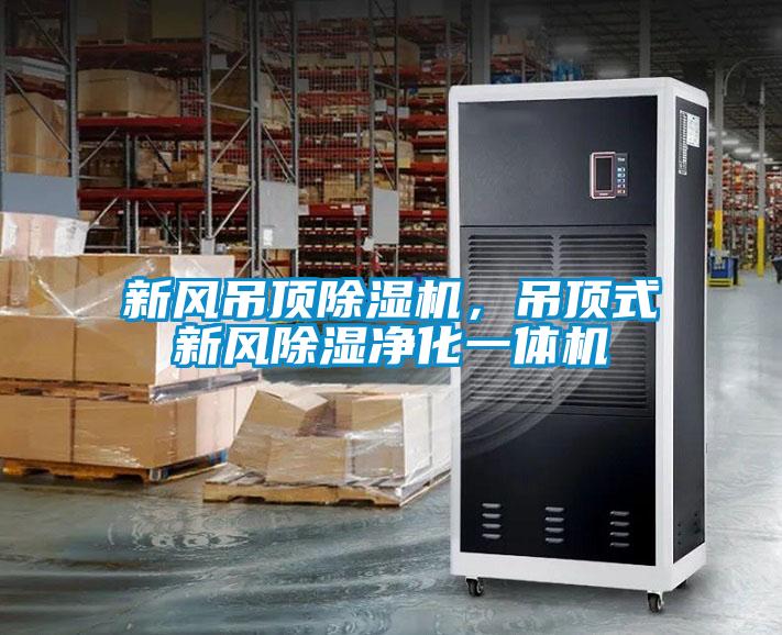 新风吊顶精品一区二区三区水蜜桃，吊顶式新风除湿净化一体机