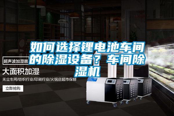 如何选择锂电池车间的除湿设备？车间精品一区二区三区水蜜桃