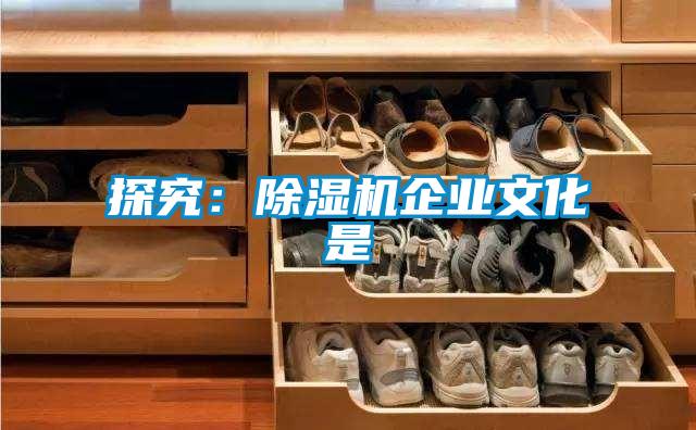 探究：精品一区二区三区水蜜桃企业文化是