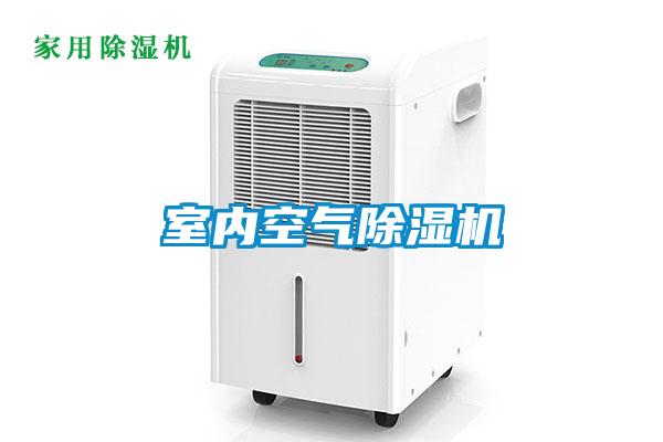 室内空气精品一区二区三区水蜜桃