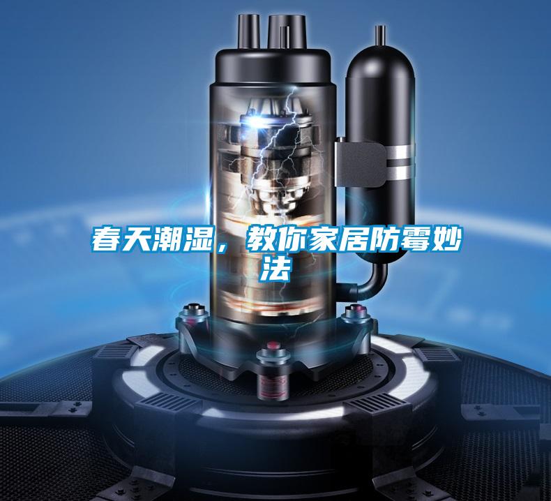 春天潮湿，教你家居防霉妙法