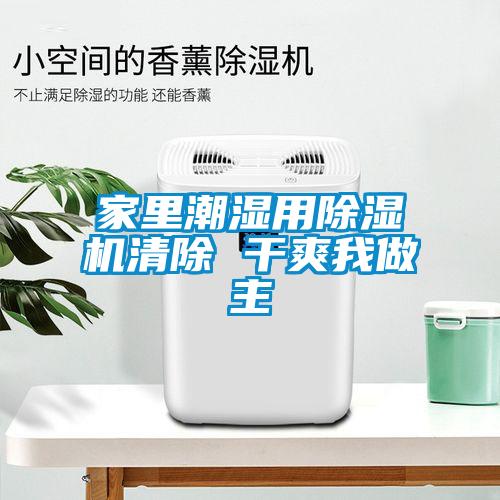 家里潮湿用精品一区二区三区水蜜桃清除 干爽我做主