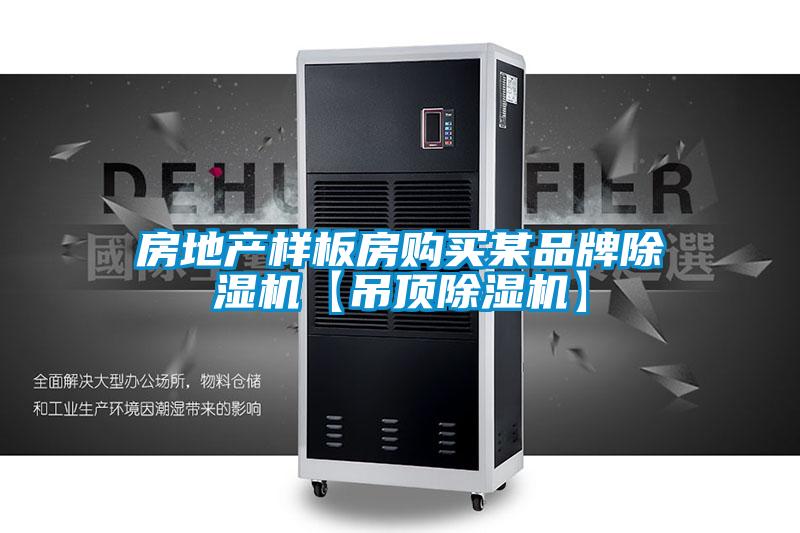 房地产样板房购买某品牌精品一区二区三区水蜜桃【吊顶精品一区二区三区水蜜桃】