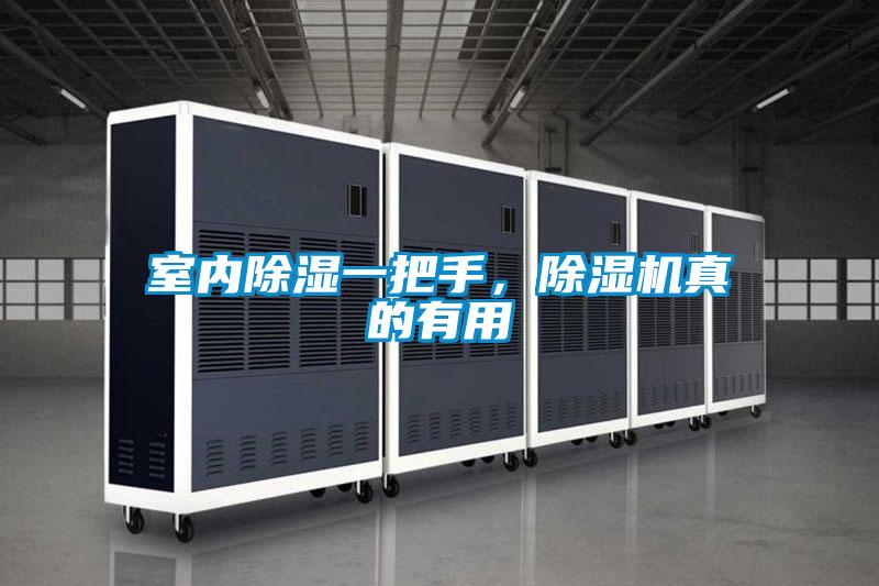 室内除湿一把手，精品一区二区三区水蜜桃真的有用