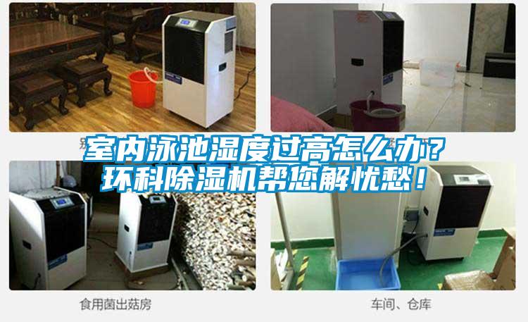 室内泳池湿度过高怎么办？环科精品一区二区三区水蜜桃帮您解忧愁！