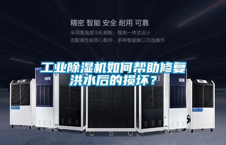 工业精品一区二区三区水蜜桃如何帮助修复洪水后的损坏？