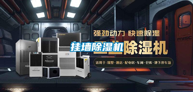 挂墙精品一区二区三区水蜜桃