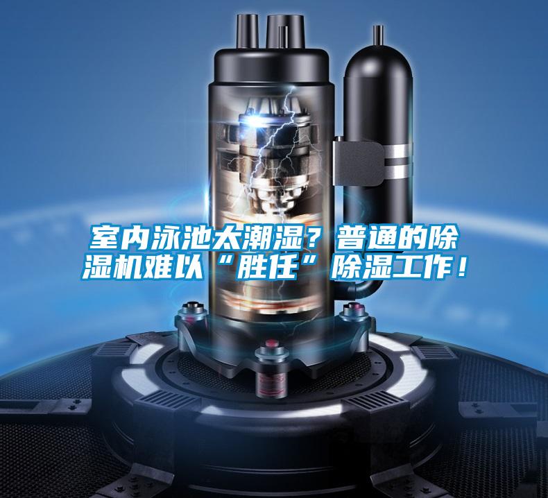 室内泳池太潮湿？普通的精品一区二区三区水蜜桃难以“胜任”除湿工作！
