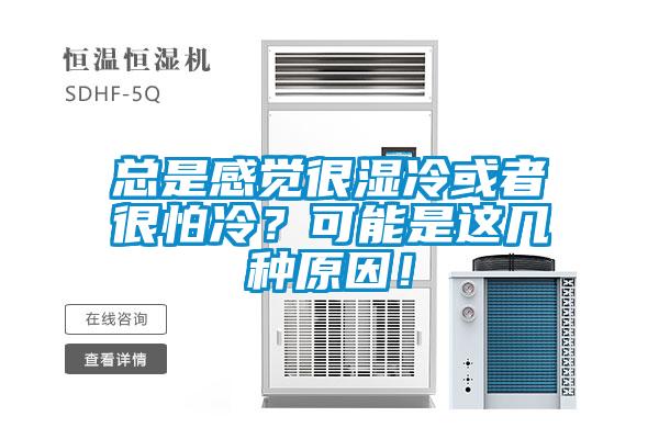 总是感觉很湿冷或者很怕冷？可能是这几种原因！