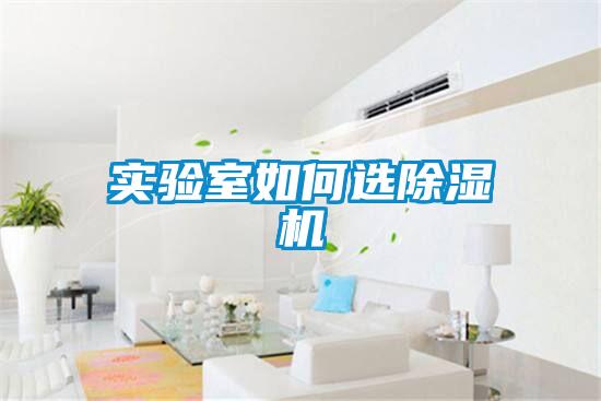 实验室如何选精品一区二区三区水蜜桃