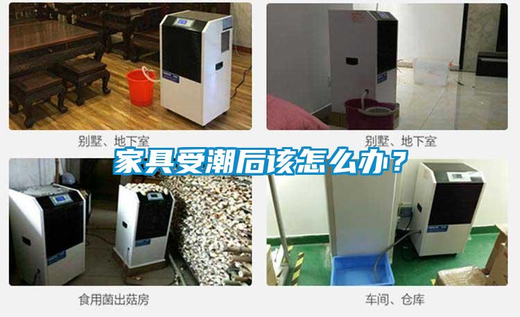 家具受潮后该怎么办？