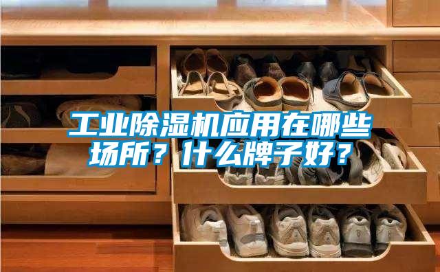 工业精品一区二区三区水蜜桃应用在哪些场所？什么牌子好？