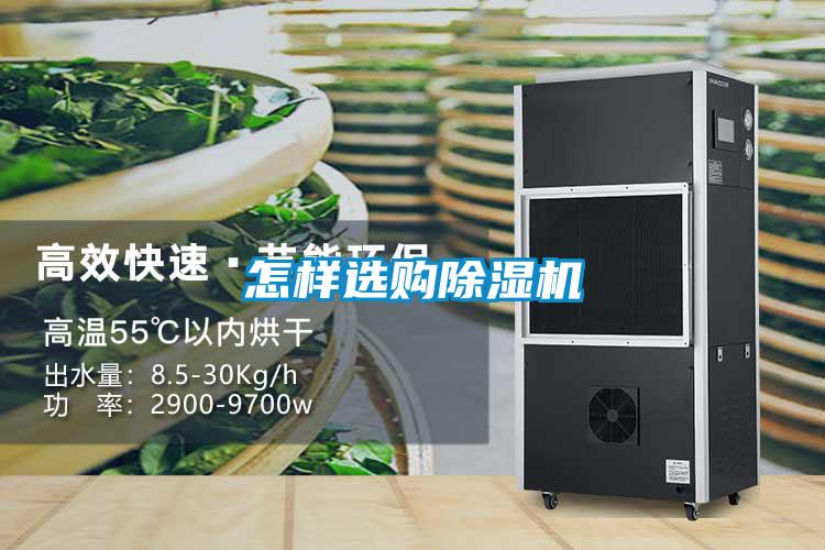 怎样选购精品一区二区三区水蜜桃