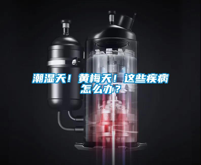 潮湿天！黄梅天！这些疾病怎么办？