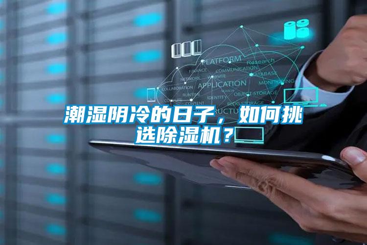 潮湿阴冷的日子，如何挑选精品一区二区三区水蜜桃？