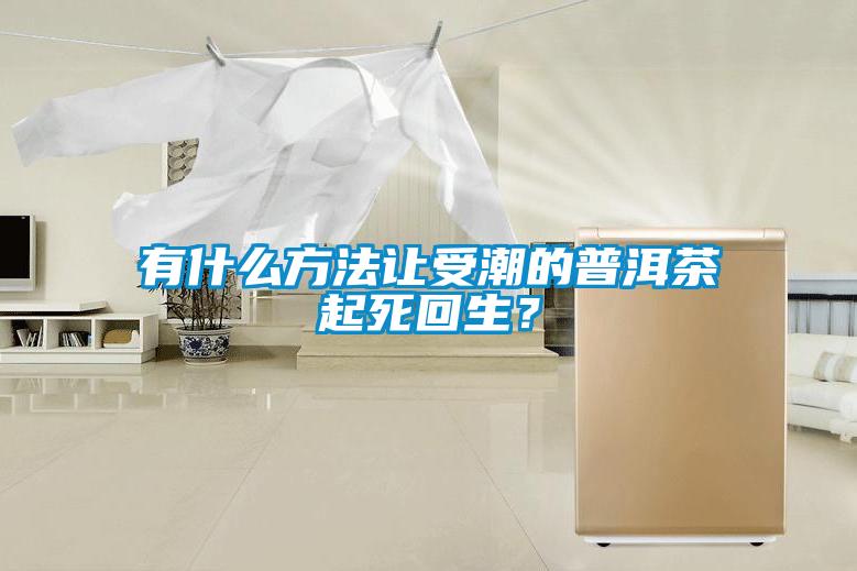 有什么方法让受潮的普洱茶起死回生？