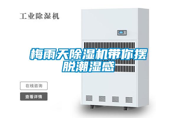 梅雨天精品一区二区三区水蜜桃带你摆脱潮湿感