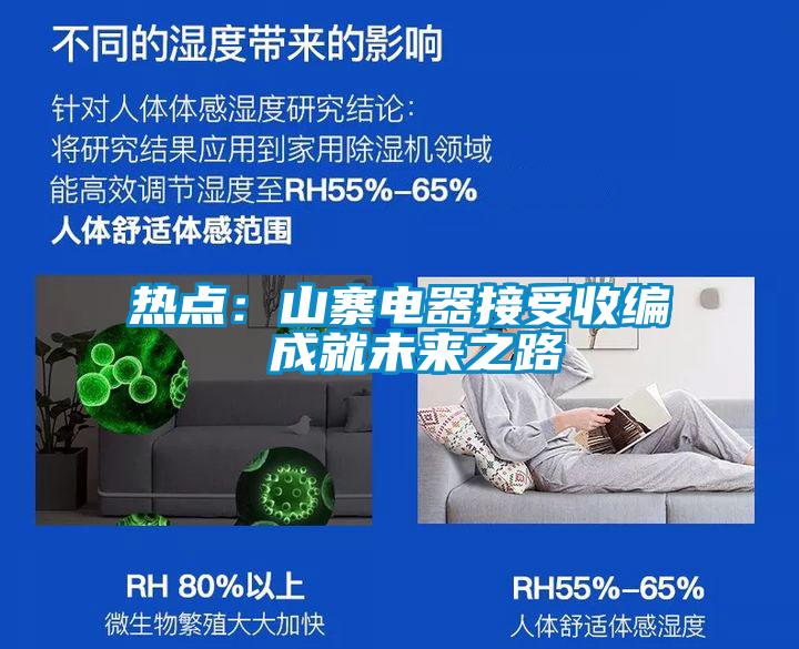 热点：山寨电器接受收编 成就未来之路