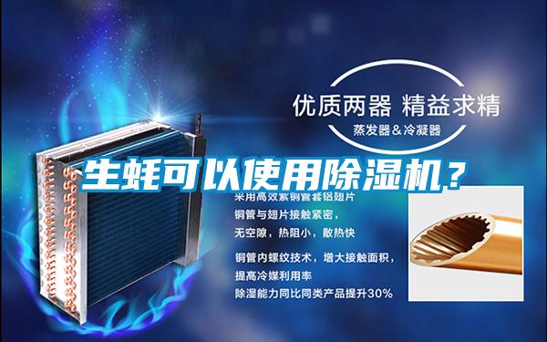 生蚝可以使用精品一区二区三区水蜜桃？