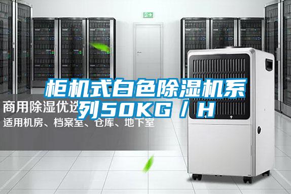 柜机式白色精品一区二区三区水蜜桃系列50KG／H