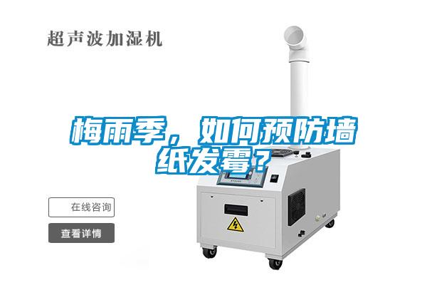 梅雨季，如何预防墙纸发霉？