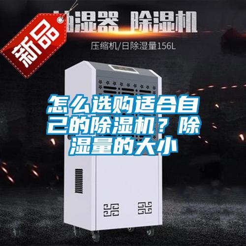 怎么选购适合自己的精品一区二区三区水蜜桃？除湿量的大小