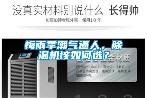 梅雨季潮气逼人，精品一区二区三区水蜜桃该如何选？