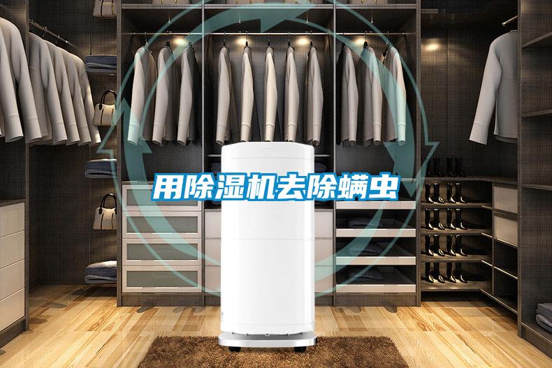 用精品一区二区三区水蜜桃去除螨虫