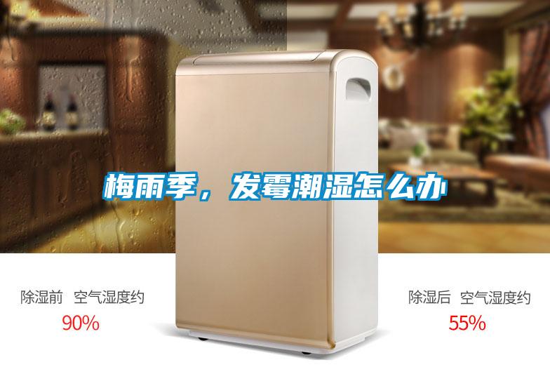 梅雨季，发霉潮湿怎么办
