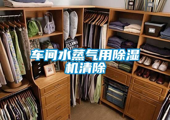 车间水蒸气用精品一区二区三区水蜜桃清除