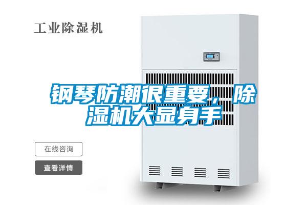 钢琴防潮很重要，精品一区二区三区水蜜桃大显身手