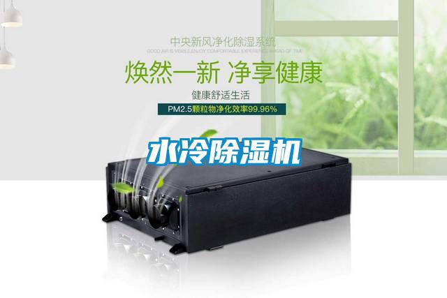 水冷精品一区二区三区水蜜桃