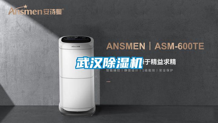 武汉精品一区二区三区水蜜桃