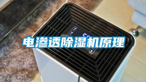 电渗透精品一区二区三区水蜜桃原理