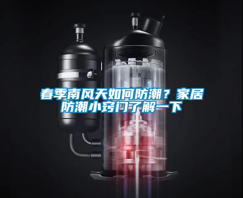 春季南风天如何防潮？家居防潮小窍门了解一下