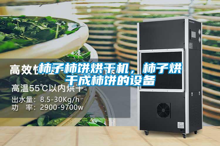 柿子柿饼烘干机，柿子烘干成柿饼的设备