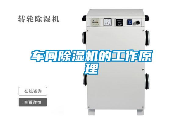 车间精品一区二区三区水蜜桃的工作原理