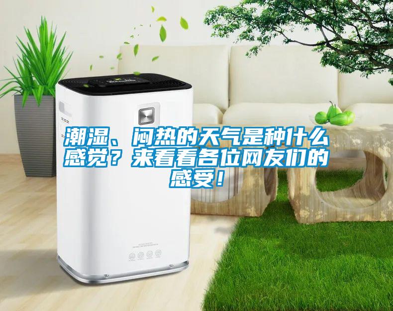 潮湿、闷热的天气是种什么感觉？来看看各位网友们的感受！