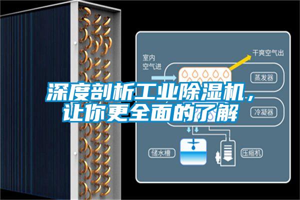 深度剖析工业精品一区二区三区水蜜桃，让你更全面的了解