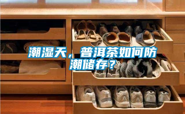 潮湿天，普洱茶如何防潮储存？