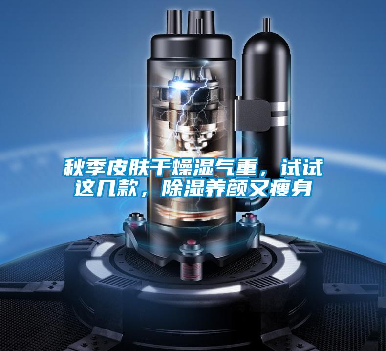 秋季皮肤干燥湿气重，试试这几款，除湿养颜又瘦身