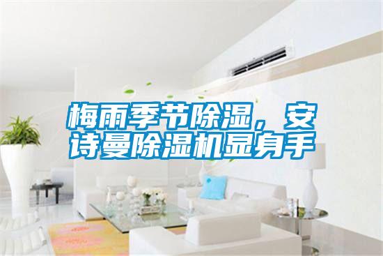 梅雨季节除湿，99精品久久久久久水蜜桃精品一区二区三区水蜜桃显身手