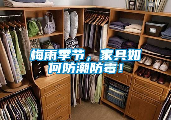 梅雨季节，家具如何防潮防霉！