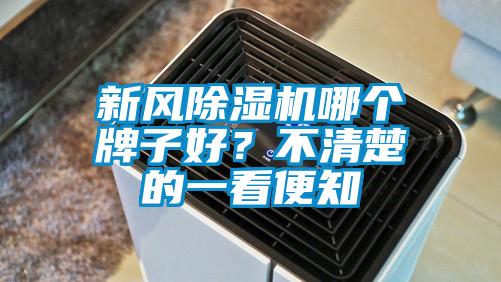 新风精品一区二区三区水蜜桃哪个牌子好？不清楚的一看便知