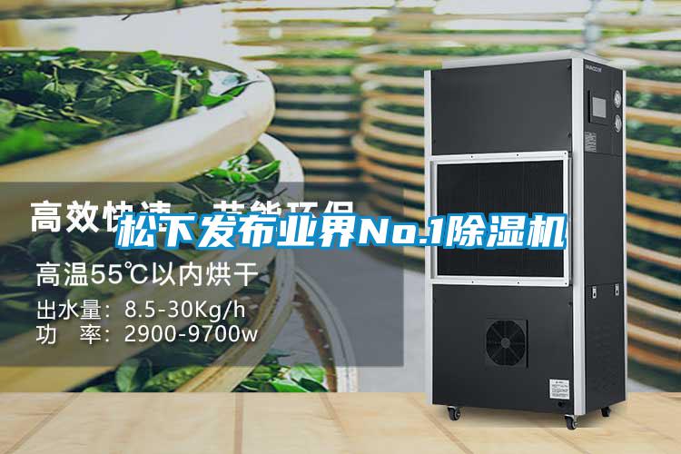 松下发布业界No.1精品一区二区三区水蜜桃