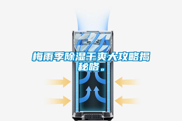 梅雨季除湿干爽大攻略揭秘咯。